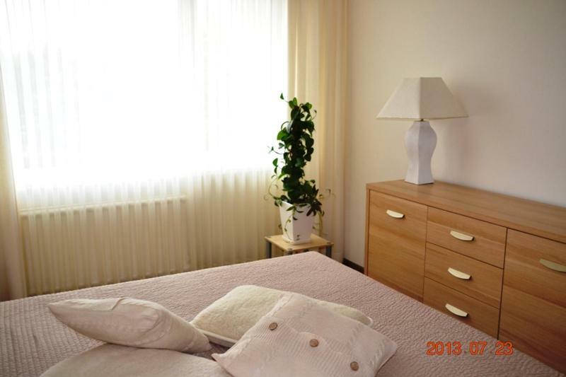 Apartamentai Dainu シャウレイ エクステリア 写真