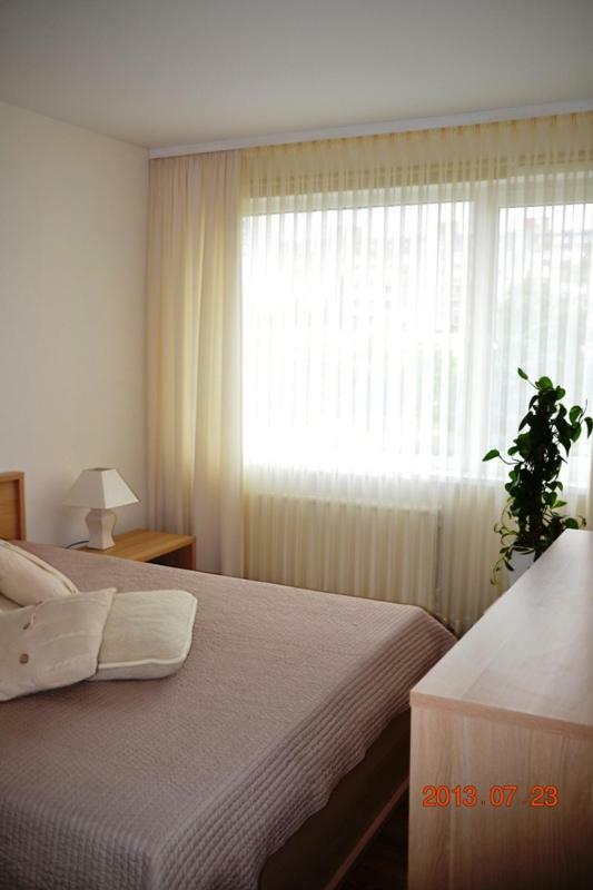 Apartamentai Dainu シャウレイ エクステリア 写真