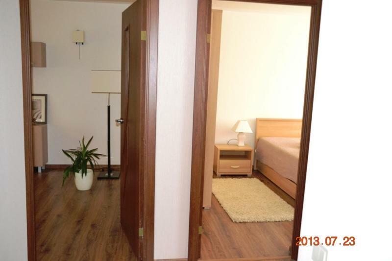 Apartamentai Dainu シャウレイ エクステリア 写真