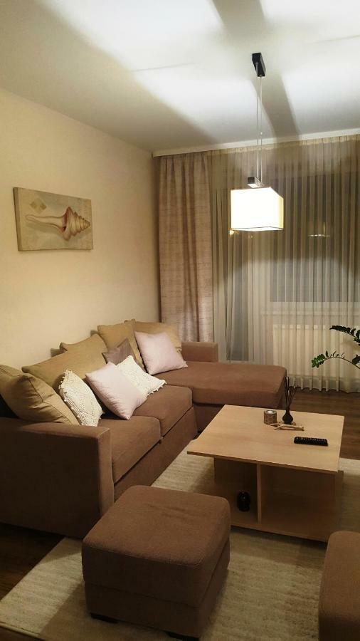Apartamentai Dainu シャウレイ エクステリア 写真