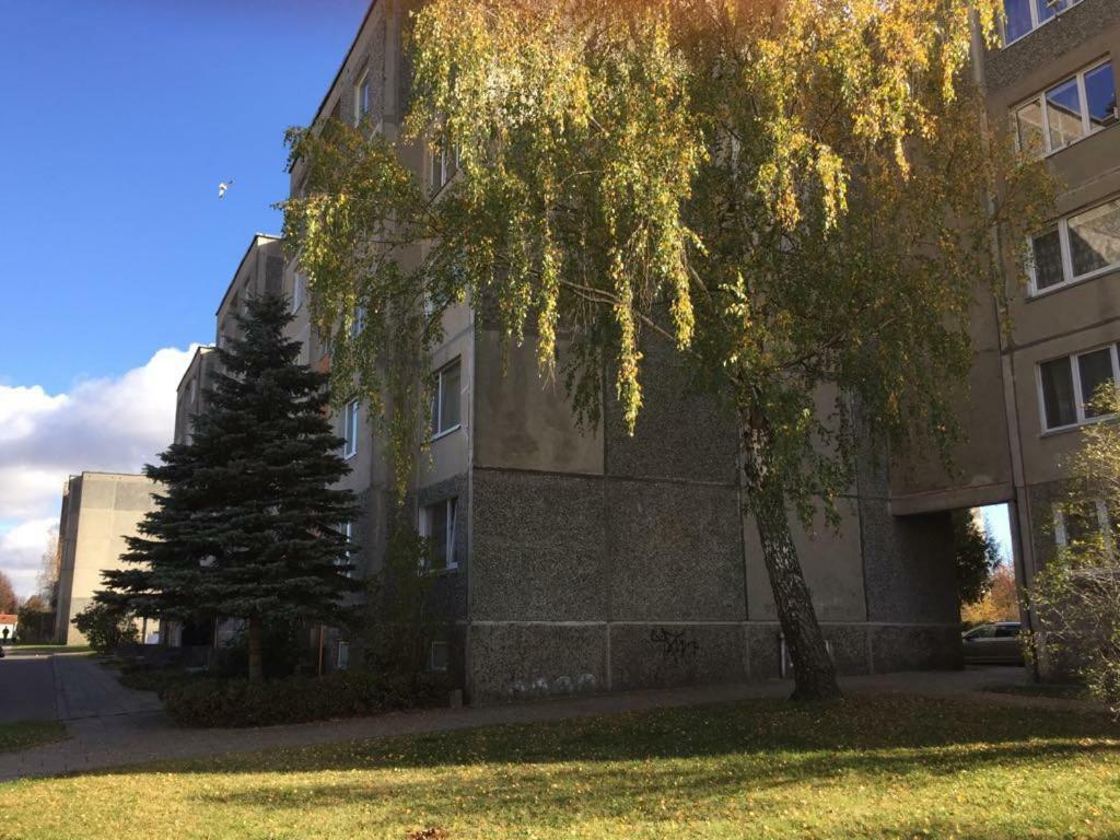 Apartamentai Dainu シャウレイ エクステリア 写真